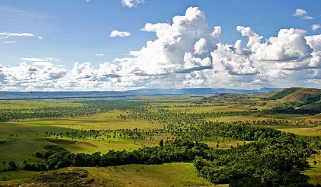 Gran Sabana, die große Savanne in Venezuela