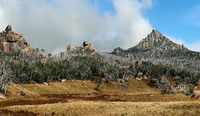 Am Mount Baffalo Plateau die viktorianische Alpen in Australien genießen