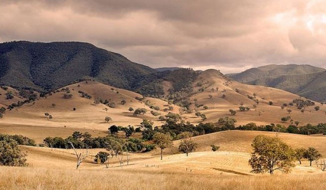 Am Conners Hill im östlichen Gippsland von Victoria, Australien