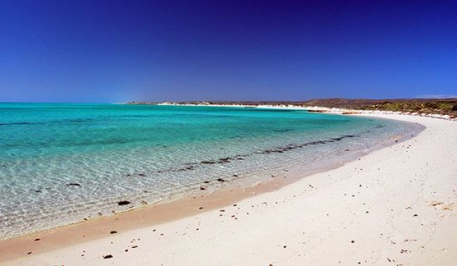 Eine der schönsten Buchten Westaustraliens mit grandioser Unterwasserwelt ist die Turquoise Bay