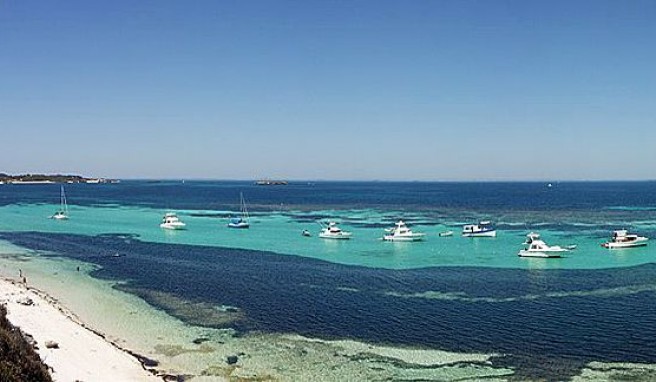 Rottnest Island, Ausflugsziel vor Fremantle, Westaustralien