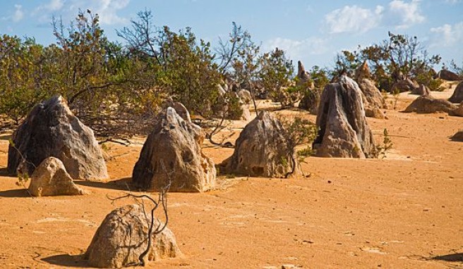 Wüste bei Cervantes, Westaustralien