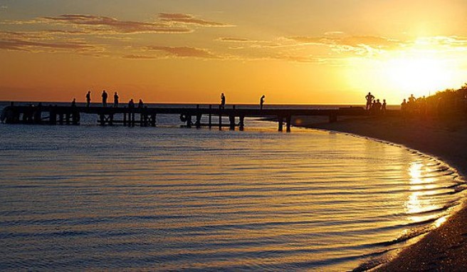 Sonnenaufgang in Monkey Mia, Shark Bay, Westaustralien