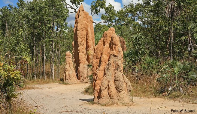 Abenteuer Explorers Way  Von Darwin nach Alice Springs