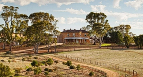 REISE & PREISE weitere Infos zu Australien-Reise: Weintouren im Barossa Valley