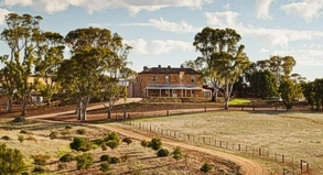 Australien-Reise Weintouren im Barossa Valley