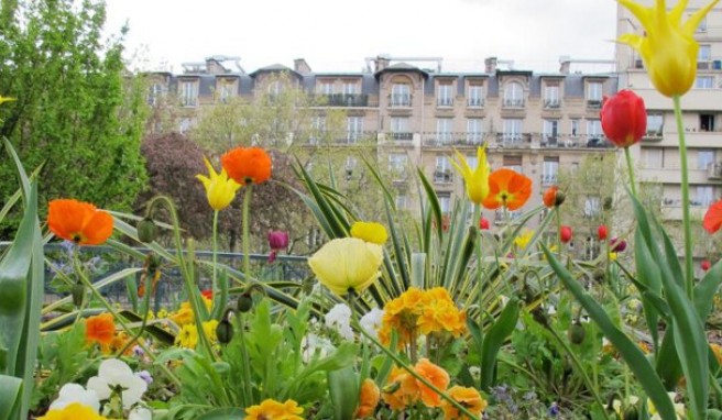 Die grüne Seite von Paris: Entlang der Coulée verte René-Dumont finden Besucher im Frühling ein farbenprächtiges Blütenmeer