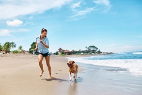 Hundestrände gibt es mittlerweile an vielen Urlaubsorten. Hier können Halter gemeinsam Spaß haben.