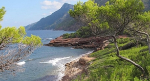 Es riecht nach Kiefern und trockenen Gräsern, der Blick streift über das weite Blau des Mittelmeers: Herbst an der Tramuntana-Kette.