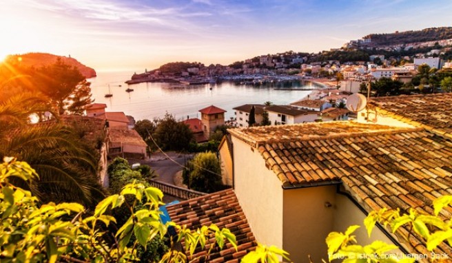 Die beliebte Mittelmeerinsel  Last minute in den Urlaub auf Mallorca