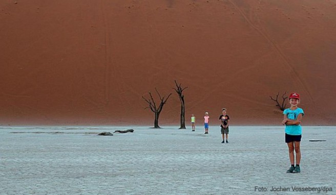 Marie Vosseberg und ihre Geschwister Ruben, Lea und Hannah reisten auf ihrer Tour auch durch den Namib-Naukluft-Nationalpark in Namibia