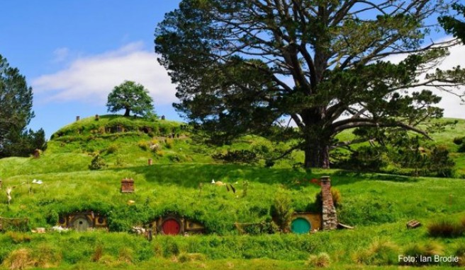 Das Dorf Hobbingen: Neuseeland diente als Kulisse für die Verfilmung der »Herr der Ringe«-Trilogie. Dieser Umstand dürfte zum Touristenboom im Land beigetragen haben