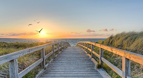 Der Weg über die Dünenlandschaft führt zu Strand und Meer in der Brandungszone