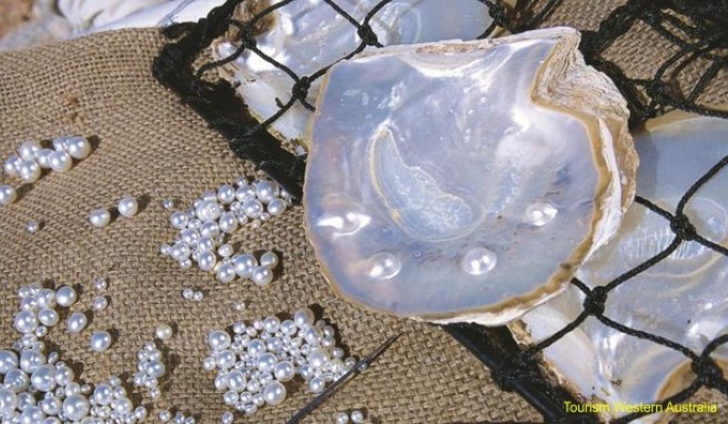 Die Perlen haben die Stadt Broome weltbekannt gemacht. Heute kommen sie vorwiegend aus Zuchtfarmen.