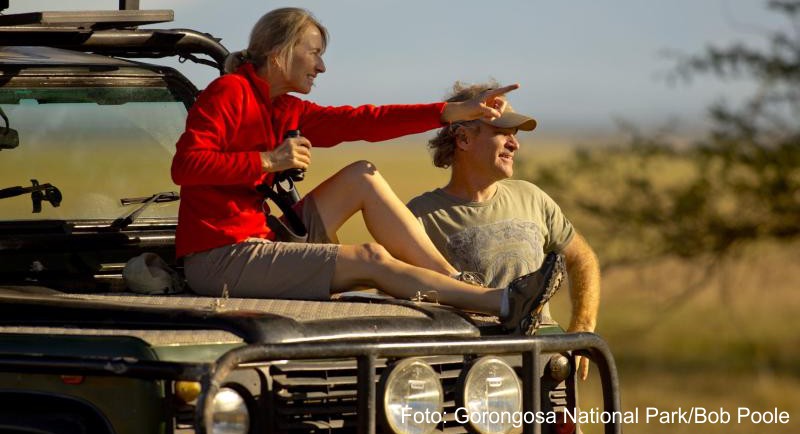 Safariurlaub in Afrika ist beliebt - warum nicht mal einen Abstecher in den Gorongosa Nationalpark in Mosambik unternehmen?