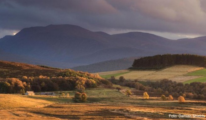 Der Whisky-Trail führt durch die Highlands von Grantown-on-Spey