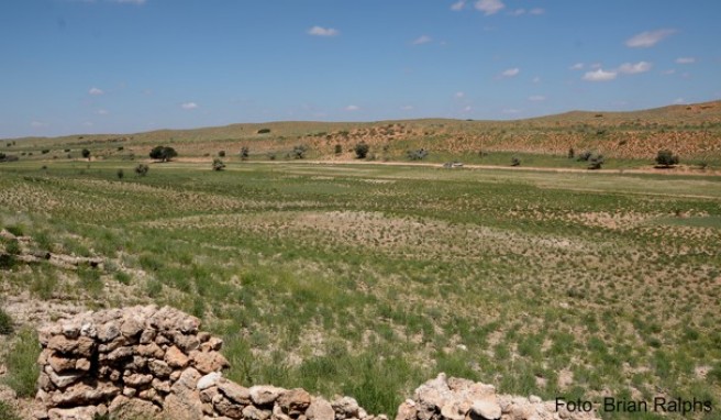 Südafrika-Reise  Unterwegs in der Kalahari-Wüste