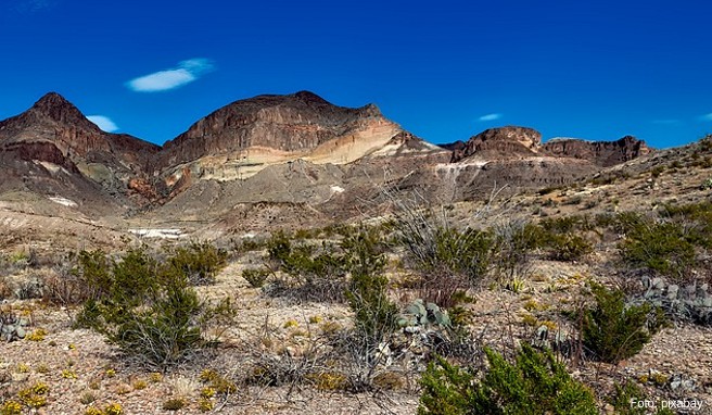 Der Big Bend National Park bietet Wüsten, Berge und eine reiche Tierwelt. Er wird vom Rio Grande begrenzt