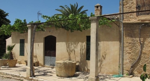 Weinanbau mit langer Tradition: Die Bodega Ribas ist die älteste Weinkellerei auf Mallorca.