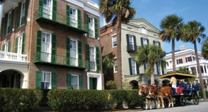 Streng reglementiert: Nur 20 Kutschen gleichzeitig dürfen in der historischen Altstadt von Charleston unterwegs sein