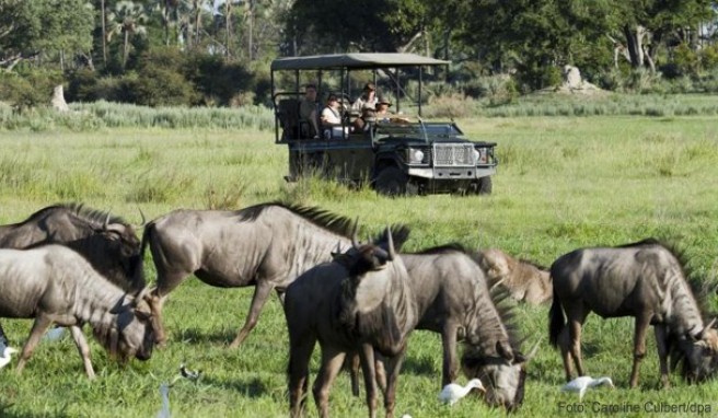 Das Naturerlebnis nicht teilen müssen: Vor ganzen Jeep-Ladungen voll mit weiteren Touristen ist man dank der teilweise schwer zugänglichen Luxus-Unterkünfte verschont