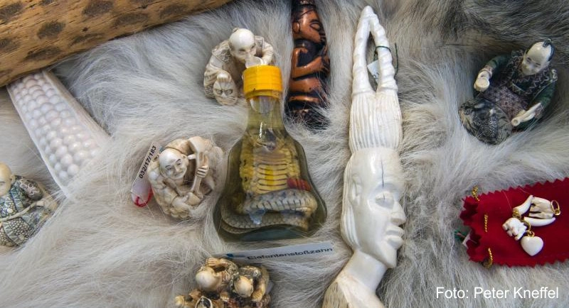 Artenschutz und Freimengen Was beim Zoll zu beachten ist