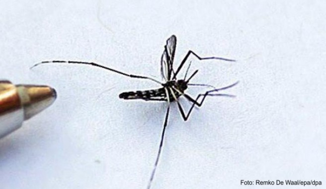 Denguefieber in Sri Lanka Spray mit DEET in Deutschland besorgen