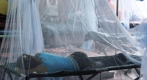Fälle von Dengue-Fieber tauchen nicht mehr nur im ärmeren Regionen wie Honduras (im Bild) auf. Auch Industrienationen melden Infektionen