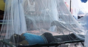 Dengue-Fieber in Honduras: Urlauber in Mittel- und Südamerika sollten sich gut gegen Mücken und damit vor einer Infektion schützen##Foto: Gustavo Amador Dengue-Fieber in Honduras: Urlauber in Mittel- und Südamerika sollten sich gut gegen Mücken und damit vor einer Infektion schützen