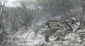 NATURKATASTROPHEN Angst kein Stornogrund