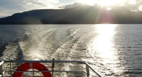 Neuseeland Gl&uuml;hw&uuml;rmchen-Grotten