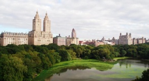 New York ist nicht nur ein Häusermeer, sondern hat auch viel Grün zu bieten, zu allererst natürlich im Central Park.
