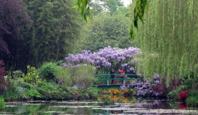 Die japanische Brücke mit Blick auf den berühmten Seerosenteich ist für Besucher des Gartens von Claude Monet ein Highlight