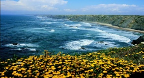 Jede Menge Schaumkronen: Portugals Küste bietet gute Wellen zum Surfen.
