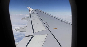 »Oh mein Gott, die Tragfläche!« - Kleine Scherze darf sich das Flugpersonal schon erlauben. Den Stress von Flugängstlichen sollte das aber noch nicht verschlimmern.##Foto: Rolf Vennenbernd »Oh mein Gott, die Tragfläche!« - Kleine Scherze darf sich das Flugpersonal schon erlauben. Den Stress von Flugängstlichen sollte das aber noch nicht verschlimmern.