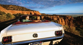 REISE & PREISE weitere Infos zu USA-Reise: So gelingt der perfekte Roadtrip