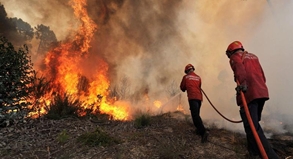 Waldbrände am Urlaubsort: Kein Schadenersatz nach Evakui...
