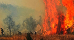 Kampf gegen die Flammen: In mehreren südeuropäischen Ländern haben die Feuerwehrleute mit Waldbränden zu tun.