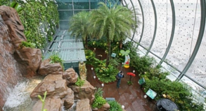 Der Fluhafen Singapur-Changi bietet Reisenden während der Wartezeit einen Garten mit Schmetterlingen