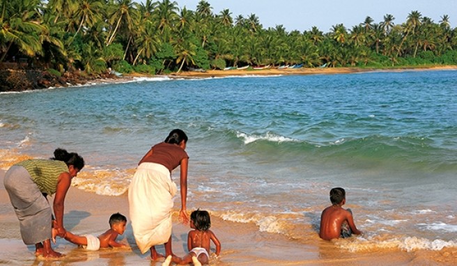 Mirissa - Sri Lanka  Ein Palmentraum, in dem die Zeit still zu stehen scheint