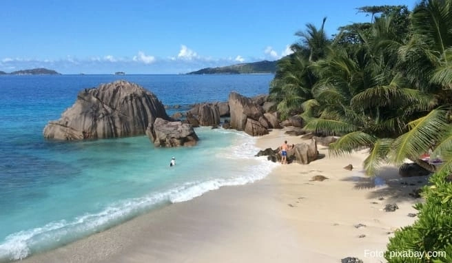 Fernreiseziele: 15 Palmenparadiese