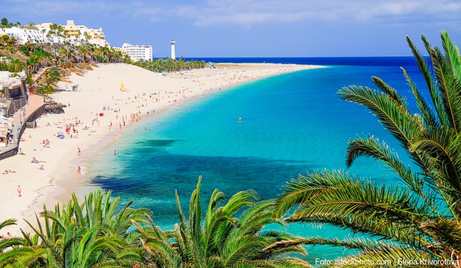 Fuerteventura Fuerteventura
