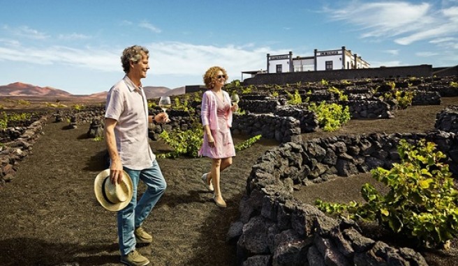 Weinbaugebiet von La Geria auf Lanzarote. Kleine Steinwände schützen die Reben vor Wind