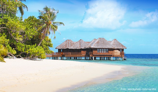 Bandosmaldives