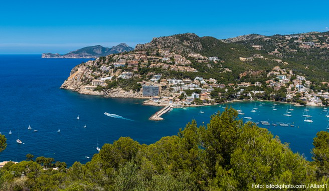 Der Jachthafen Puerto Andratx ist normalerweise nur ein Ausflugziel: Doch Sie können exzellent Urlaub machen Der Jachthafen Puerto Andratx ist normalerweise nur ein Ausflugziel: Doch Sie können exzellent Urlaub machen