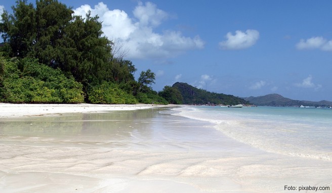 Praslin ist die zweitgrößte Insel der Seychellen