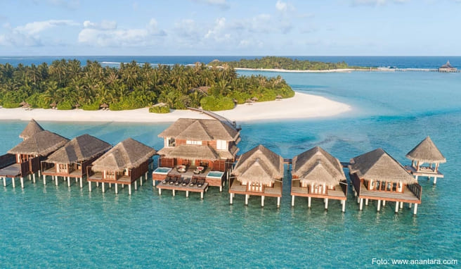 Das »Anantara Dhigu Maldives Resort« verfügt über einen Infinity-Pool