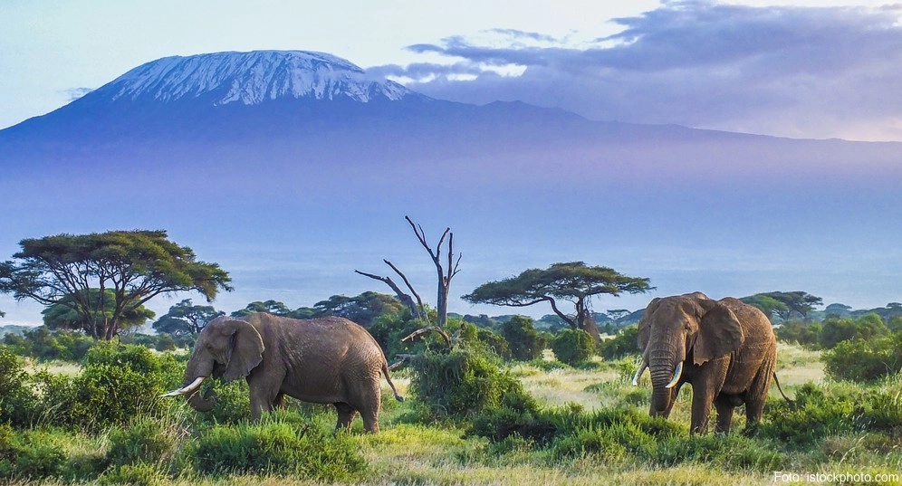 Reisetipps für Juli