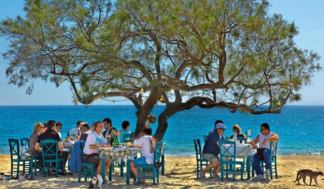 Náxos: Gäste der »Taverna Paradiso« am feinen Strand von Pláka Náxos: Gäste der »Taverna Paradiso« am feinen Strand von Pláka