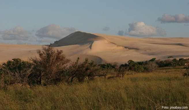 REISE & PREISE weitere Infos zu Afrika-Zugreise: Mit der Baobab-Eisenbahn durch Mosambik